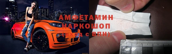 стаф Верея