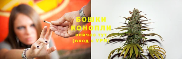 стаф Верея
