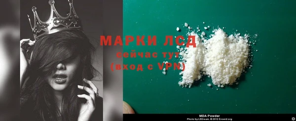 стаф Верея