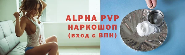стаф Верея