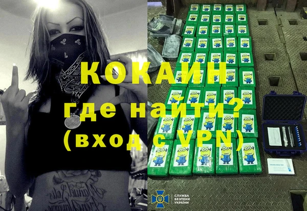 стаф Верея
