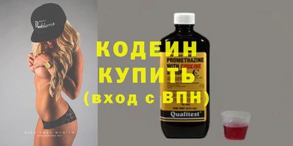 стаф Верея