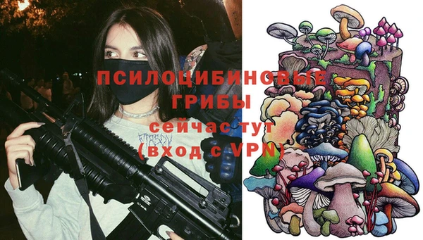 стаф Верея