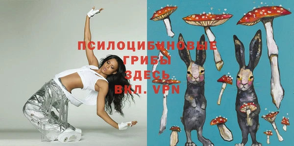 гидра Верхнеуральск