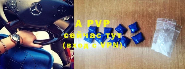 стаф Верея