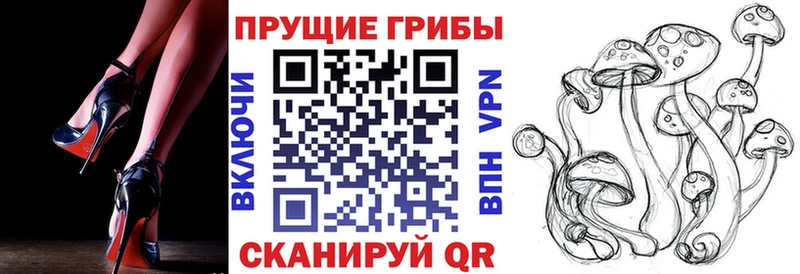 Псилоцибиновые грибы GOLDEN TEACHER  Купить закладки  Полевской 